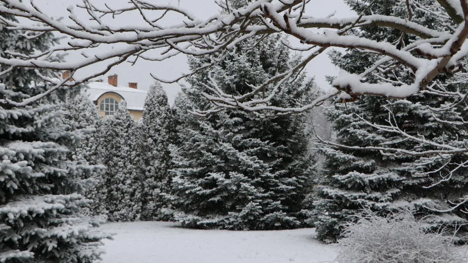 Фото: МедиаБанк Подмосковья/Ирина Матвеева