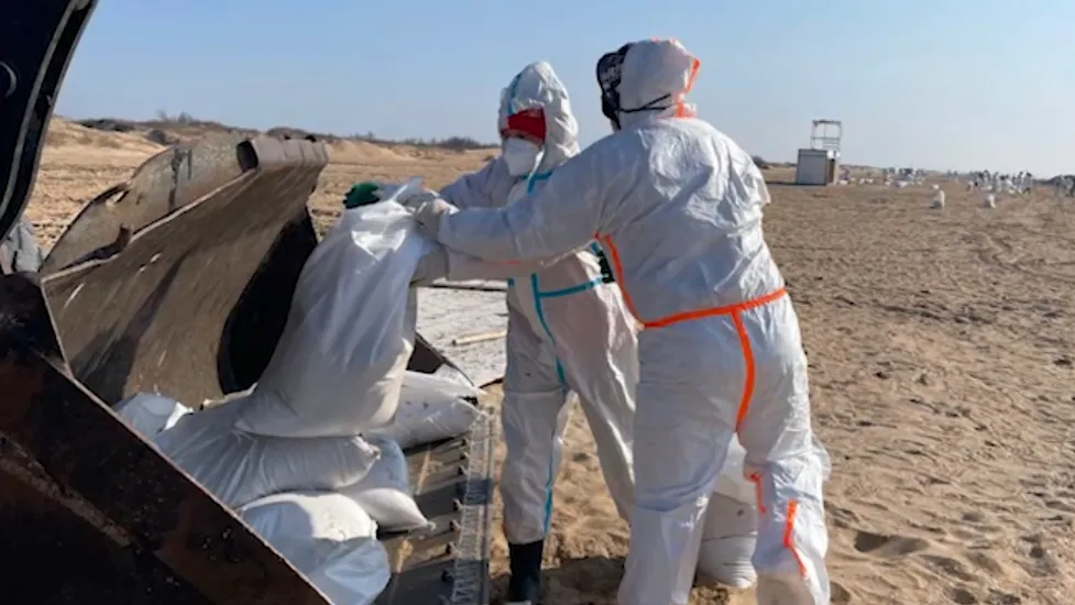 Фото: Щелковской телевидение