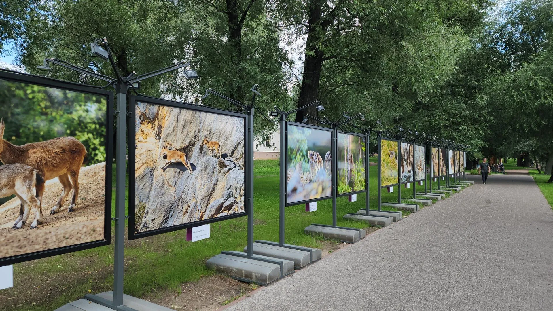 Фото: Ольга Фельдфебелева