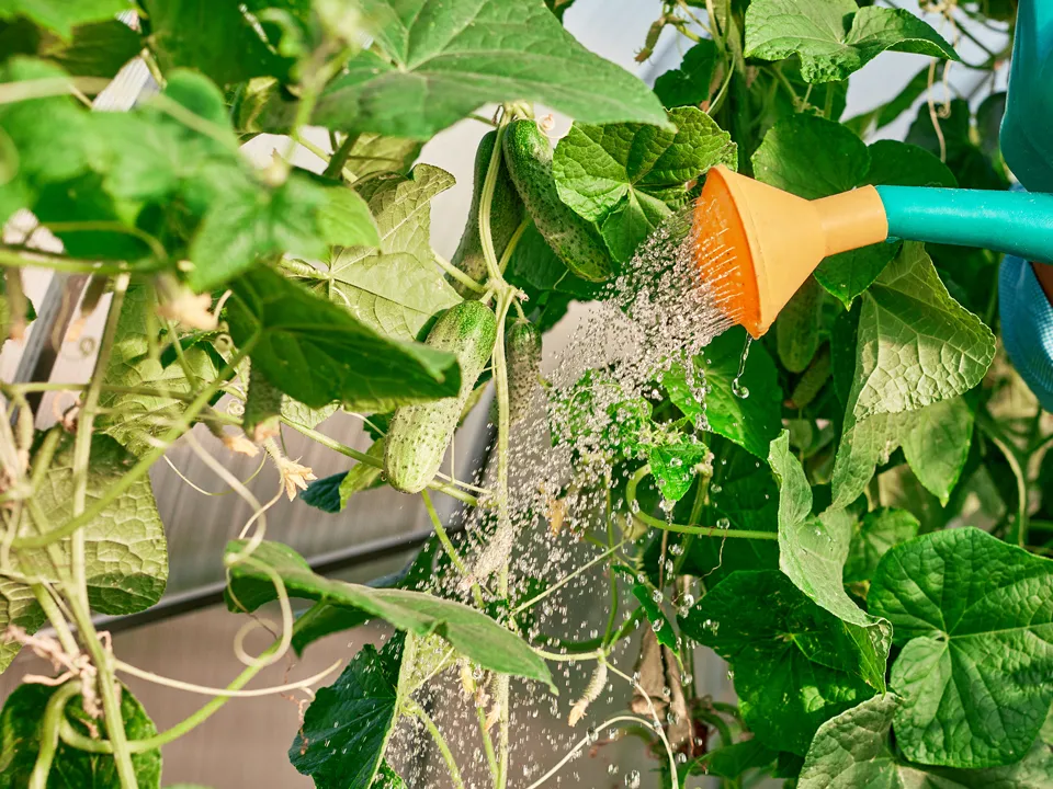 Фото: istockphoto.com