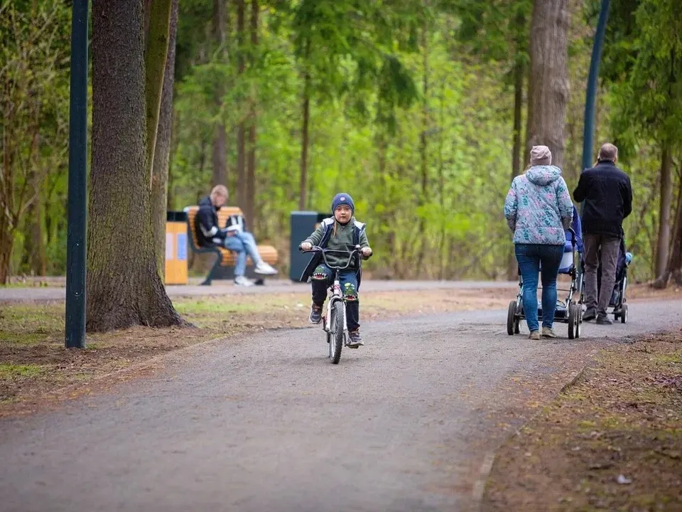 Фото: Министерство благоустройства Московской области