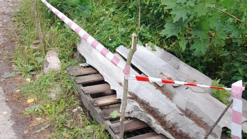 Фото: пресс-служба городского округа Кашира