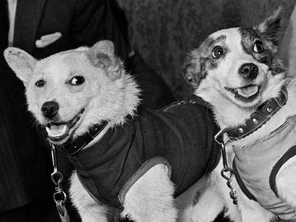 Фото: Роскосмос