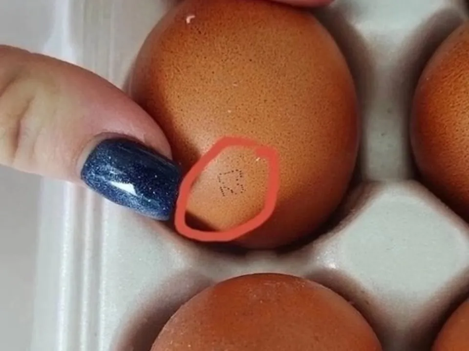 Фото: vk.com/Подслушано Павловский Посад