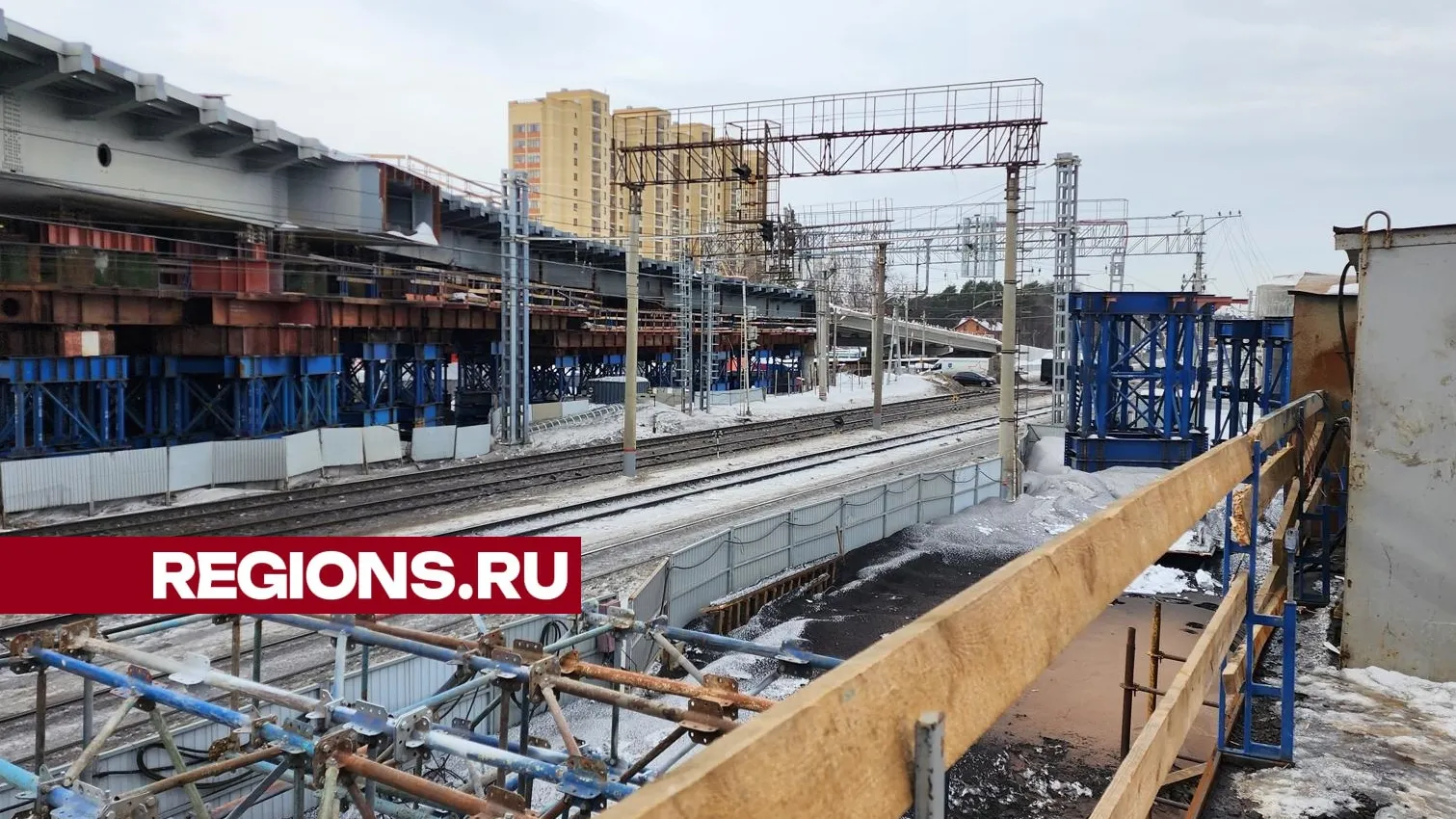 Фото: Ирина Моисеева