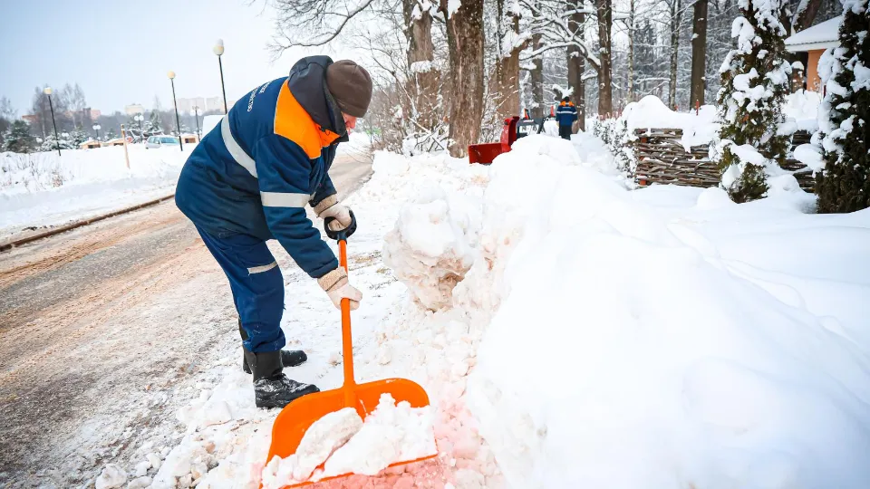 Фото: МедиаБанк Подмосковья/Данила Кирьянов