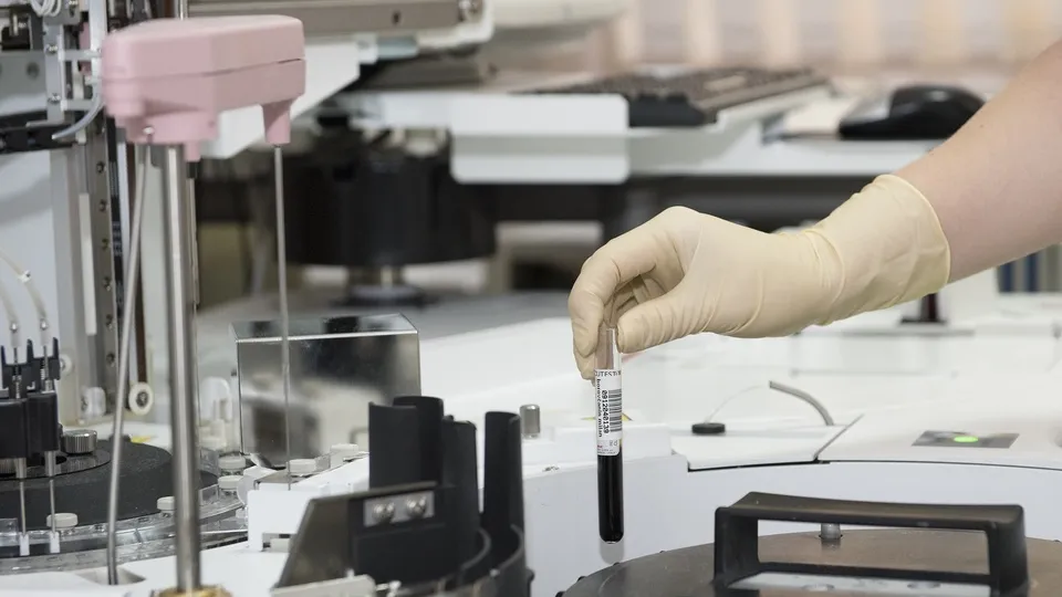 Фото: pxhere.com