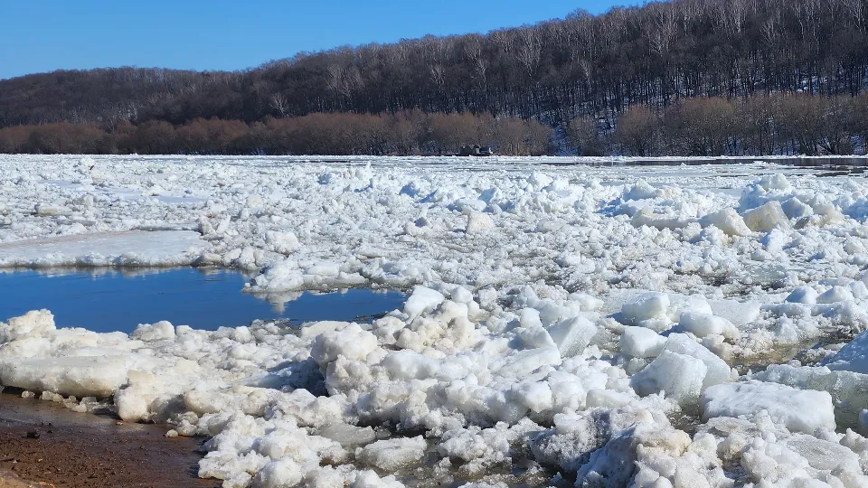 Фото: МедиаБанк Подмосковья/Марина Анисимова
