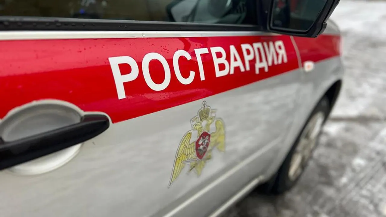 МедиаБанк Подмосковья/Евгения Герасимова