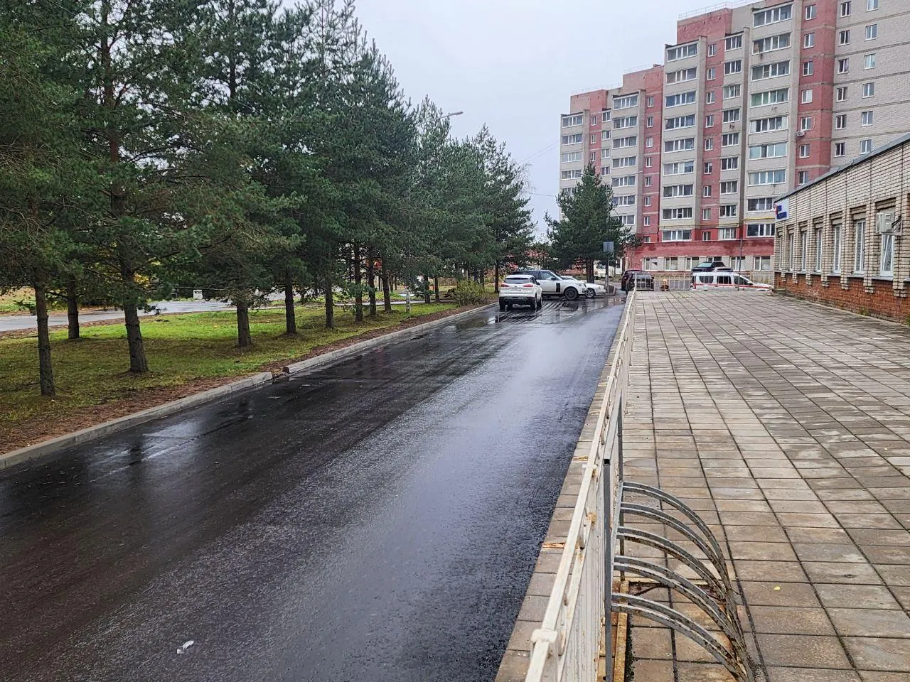 Фото: МедиаБанк Подмосковья/Ирина Кузова&nbsp;