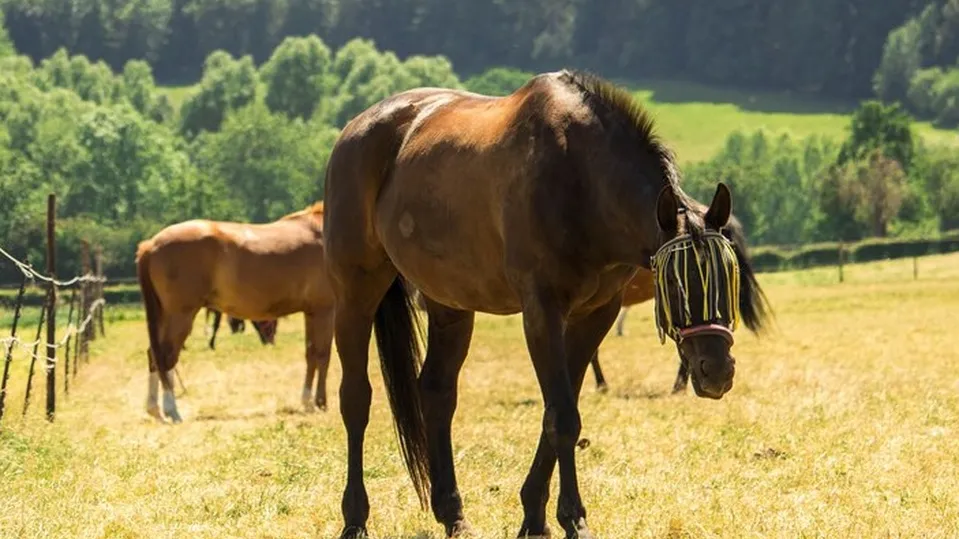 Фото: ru.freepik.com