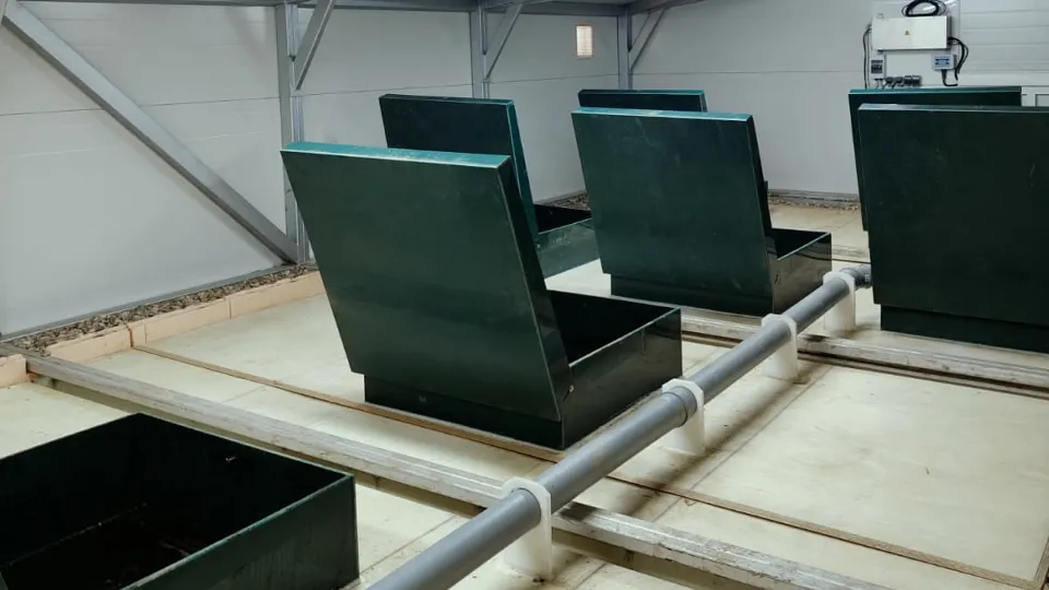 Фото: Администрация Рузского г.о.