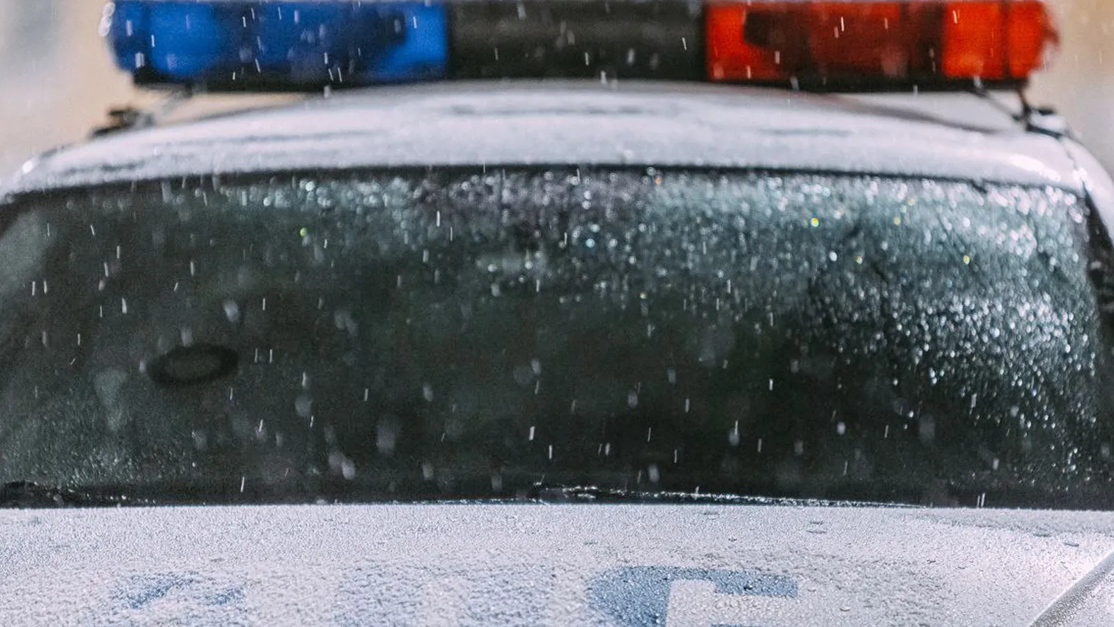 Фото: УГИБДД ГУ МВД России по Московской области