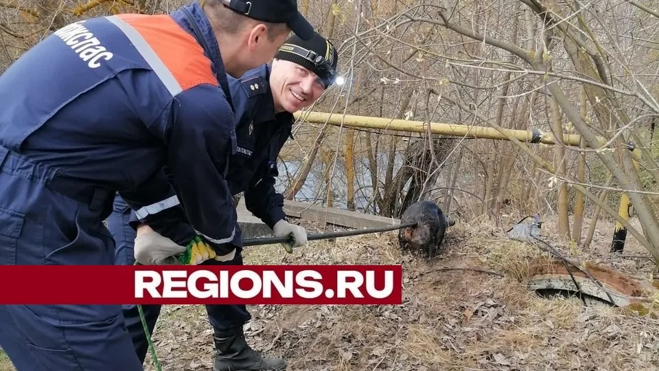 Фото: ГКУ МО «Мособлпожспас»