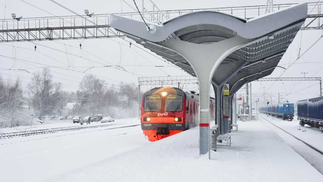 Фото: Оксана Лапшина