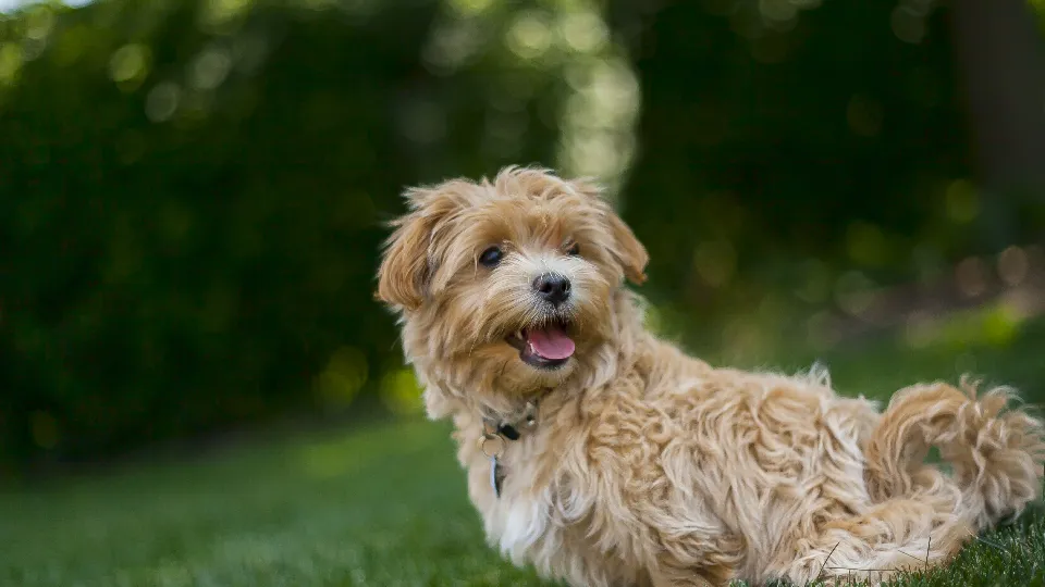 Фото: pxhere.com