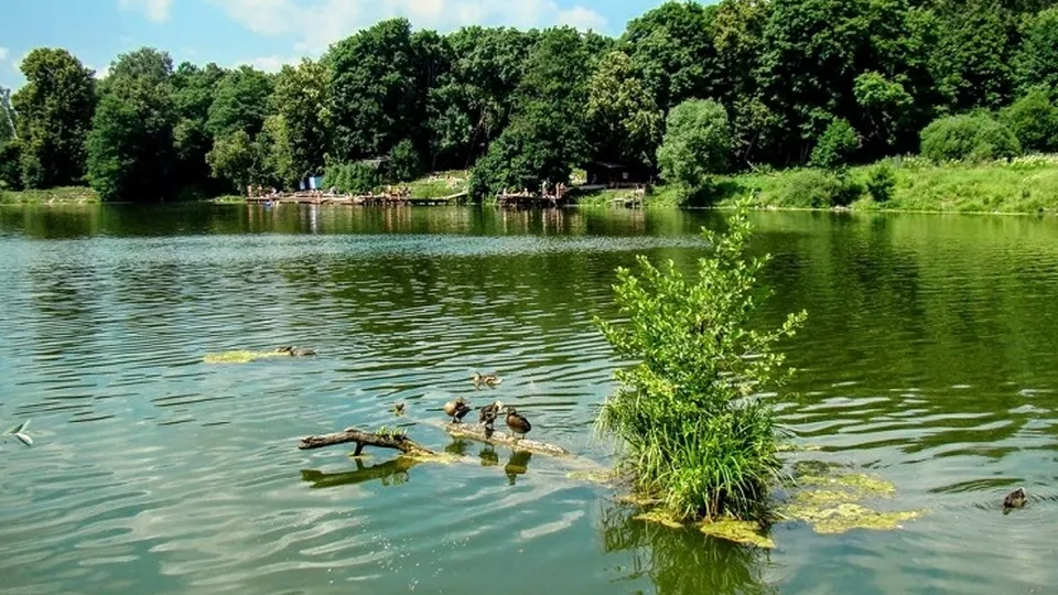 Фото: пресс-служба министерства экологии и природопользования Московской области