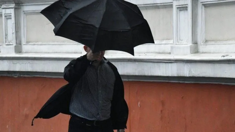 Жителей Подмосковья предупредили о сильном дожде и ветре до вечера вторника