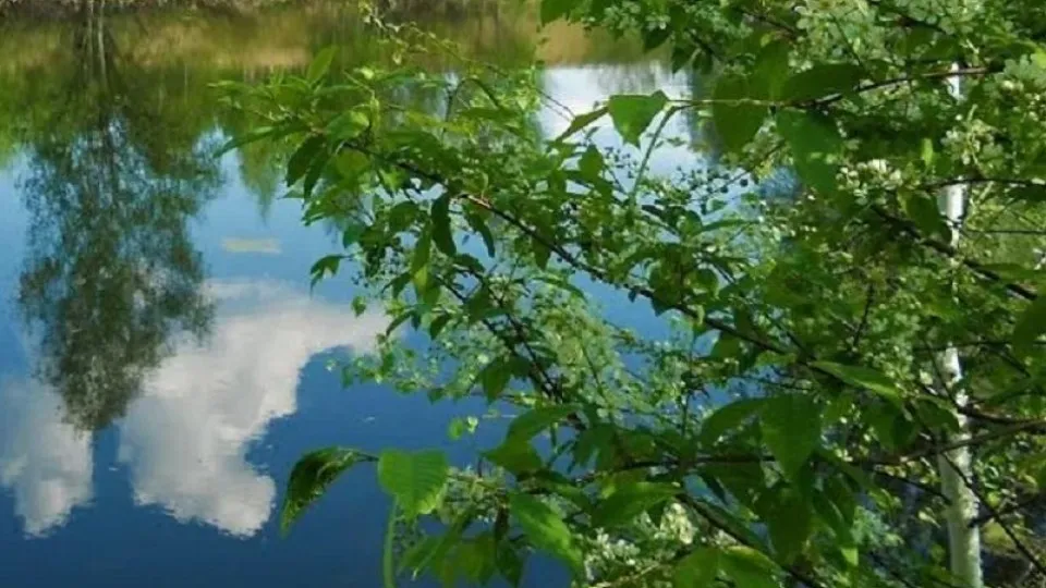 Фото: ПФ «Верховье»