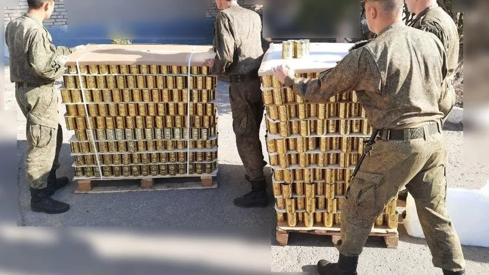 Фото: пресс-служба администрации г. о. Кашира