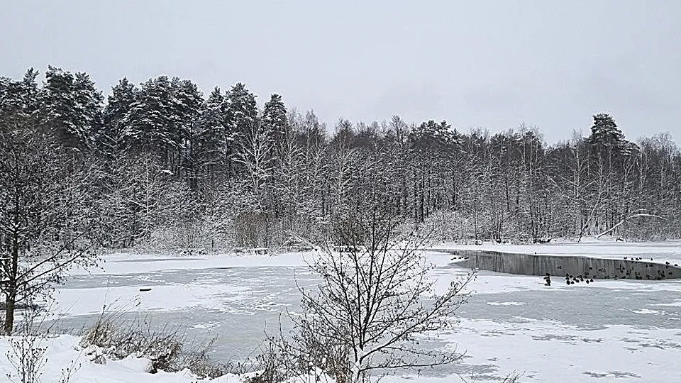 Фото: Андрей Башинский