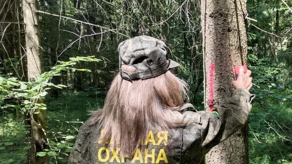 Фото: Комитет лесного хозяйства Московской области