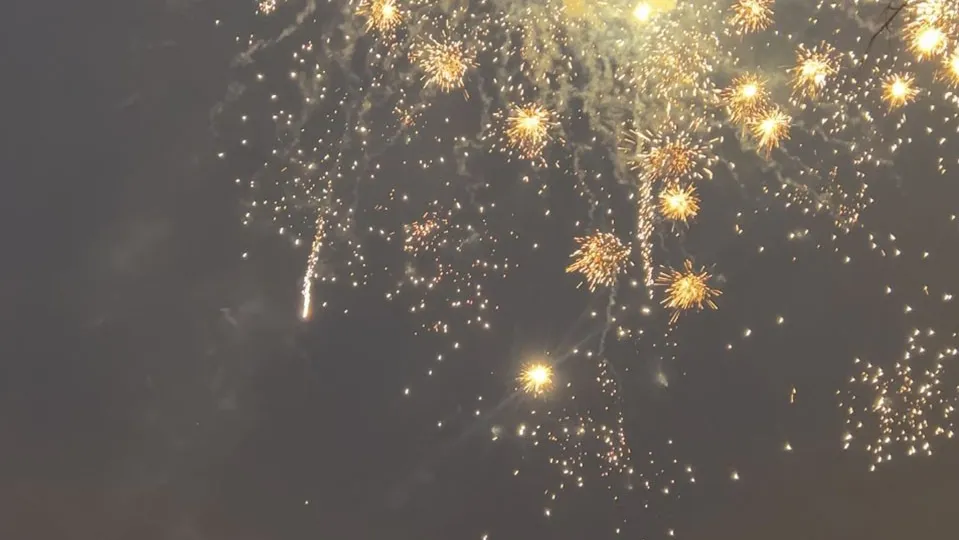 Фото: МедиаБанк Подмосковья/Ерофеева Валерия