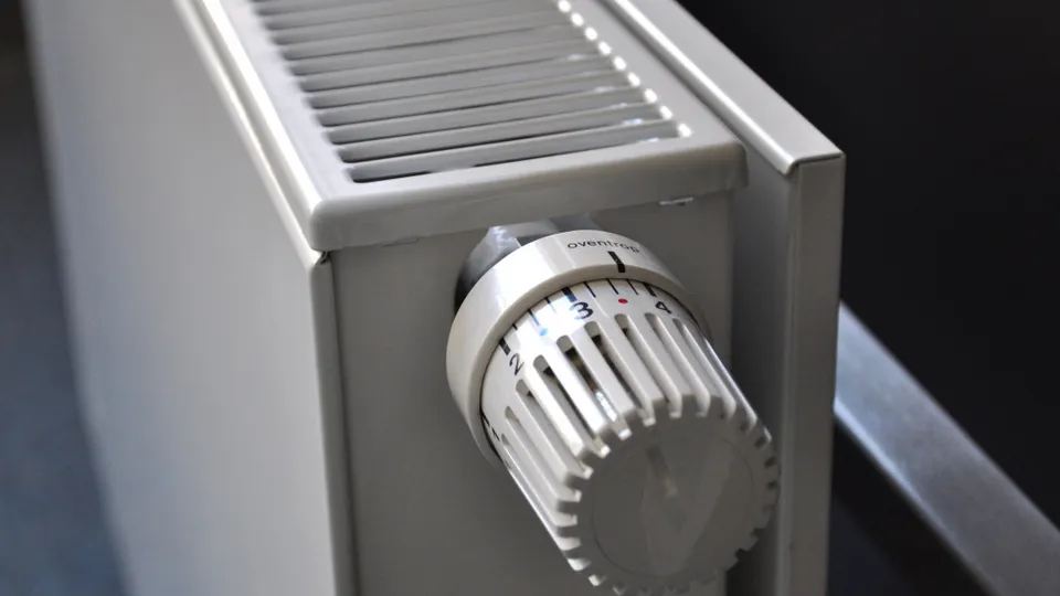 Фото: pxhere.com