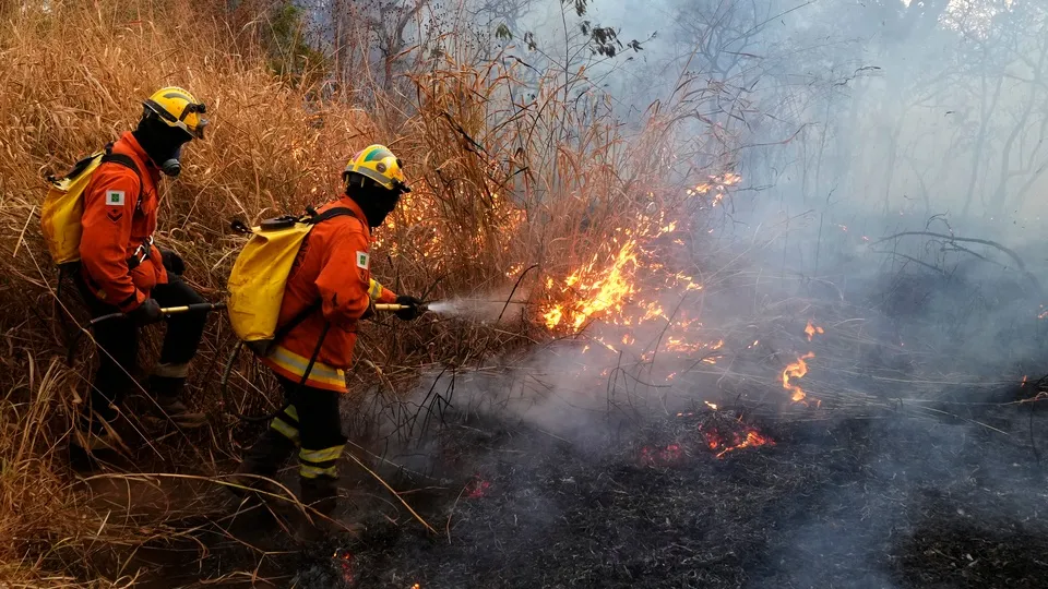 Фото: ТАСС/Eraldo Peres