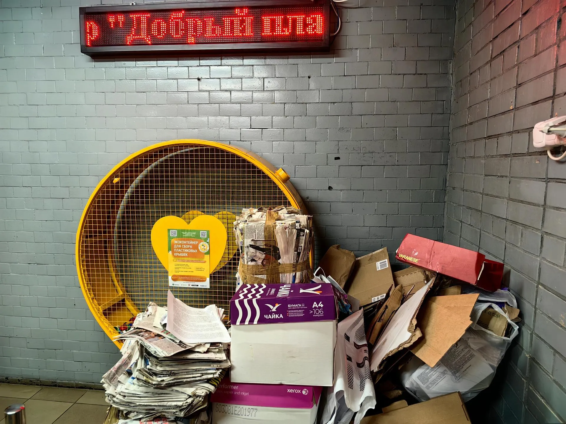 Елена Катасонова