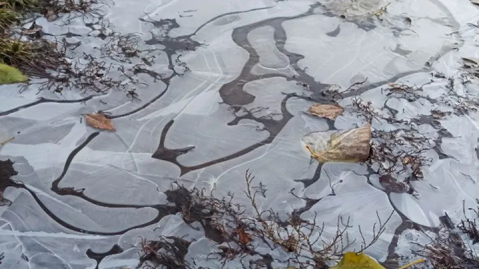 Фото: REGIONS/Эльвира Сафина