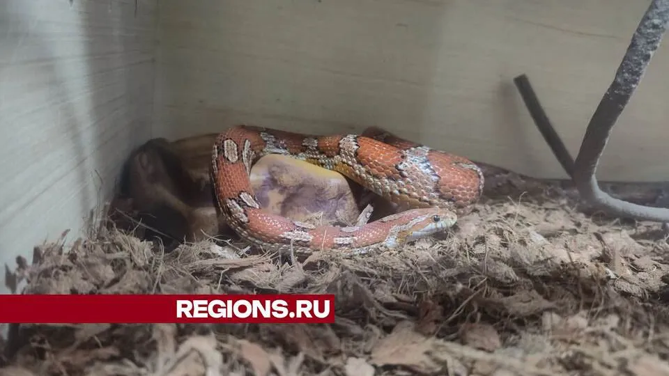 Фото: личный архив Александра Воробьева