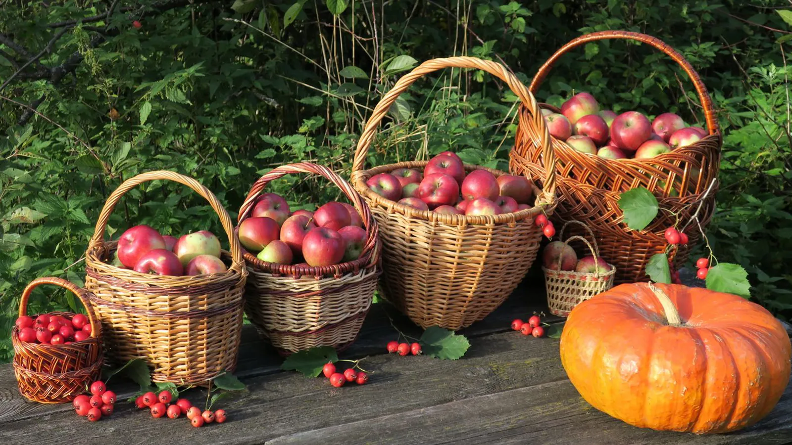 Фото: медиасток.рф