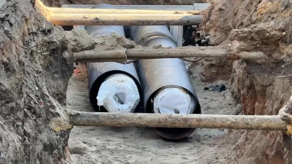 Фото: МедиаБанк Подмосковья/Ксения Казакова