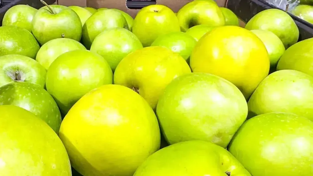 REGIONS/Владимир Ерастов