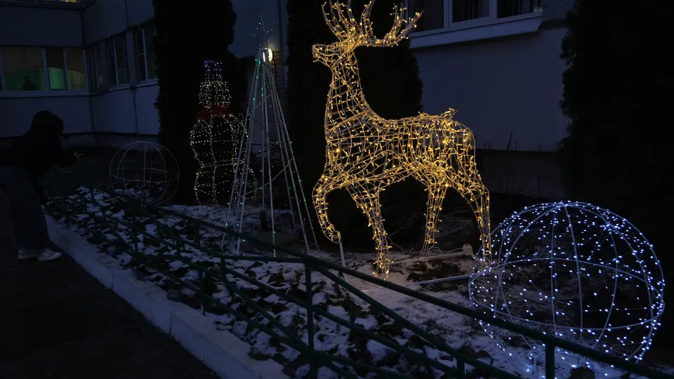 Фото: REGIONS/Анастасия Игнатова