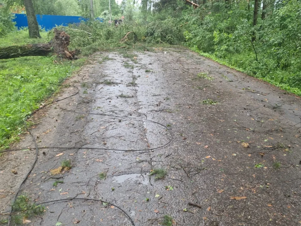 Фото: Наталия Надточая&nbsp;