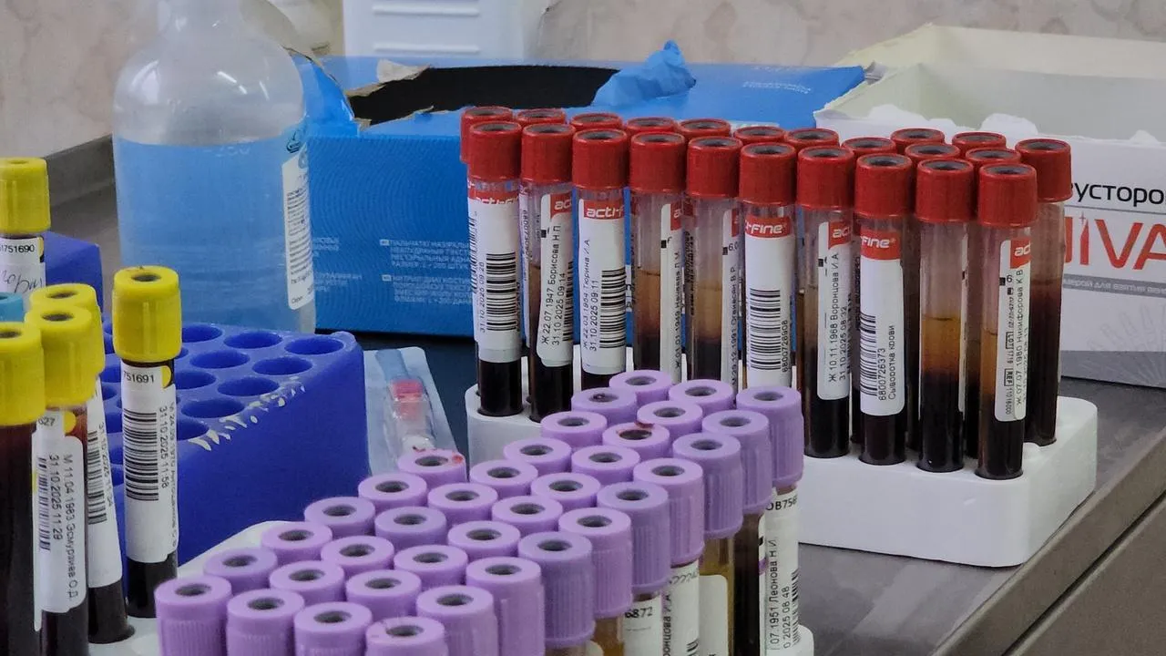 Медиабанк Подмосковья/Артем Мишуков