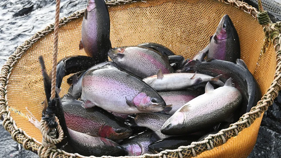 Фото: РИА Новости/Илья Наймушин