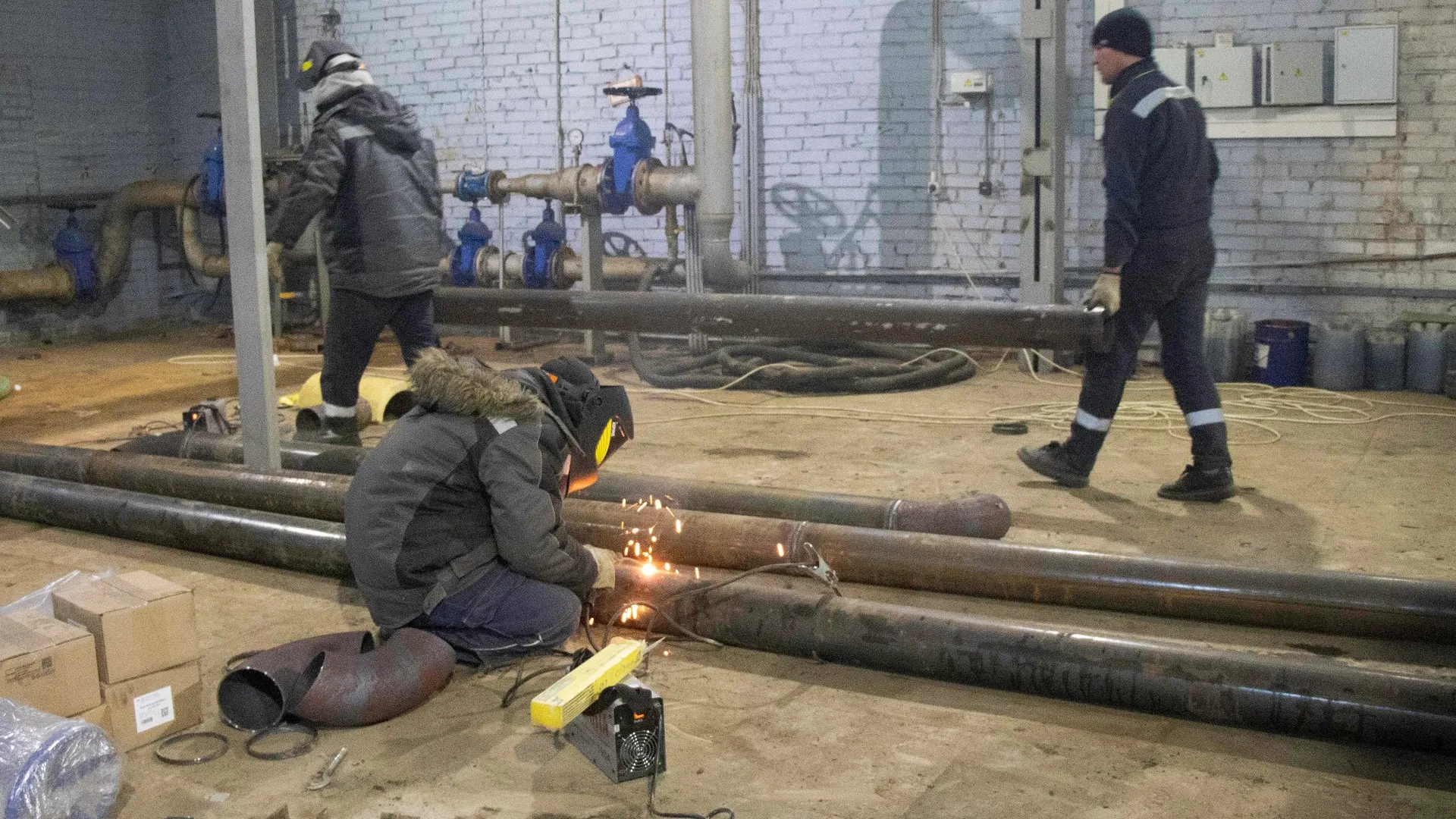 Фото: Александр Морозов