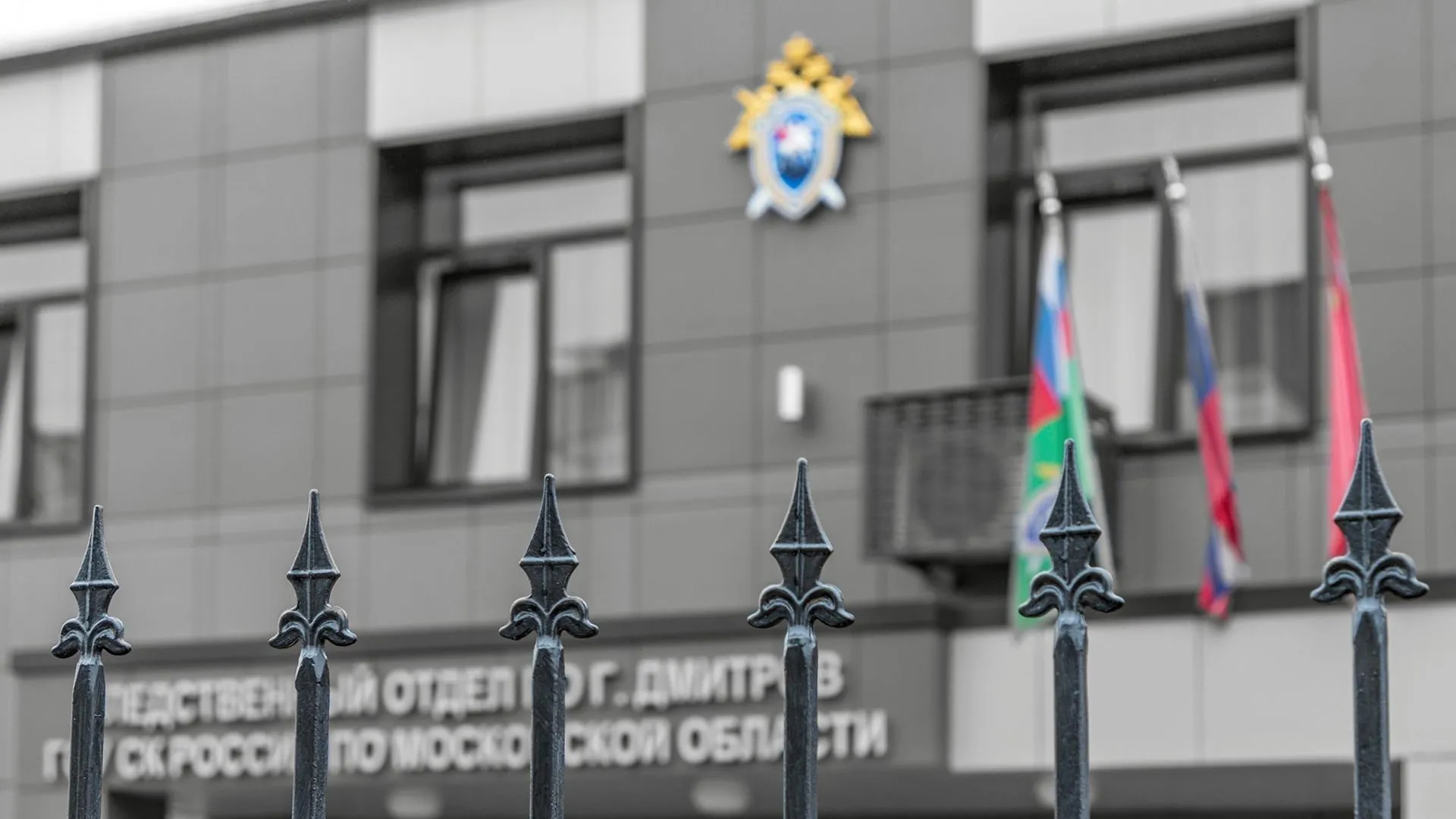 Фото соцсети (https://vk.com/welovedmitrov).