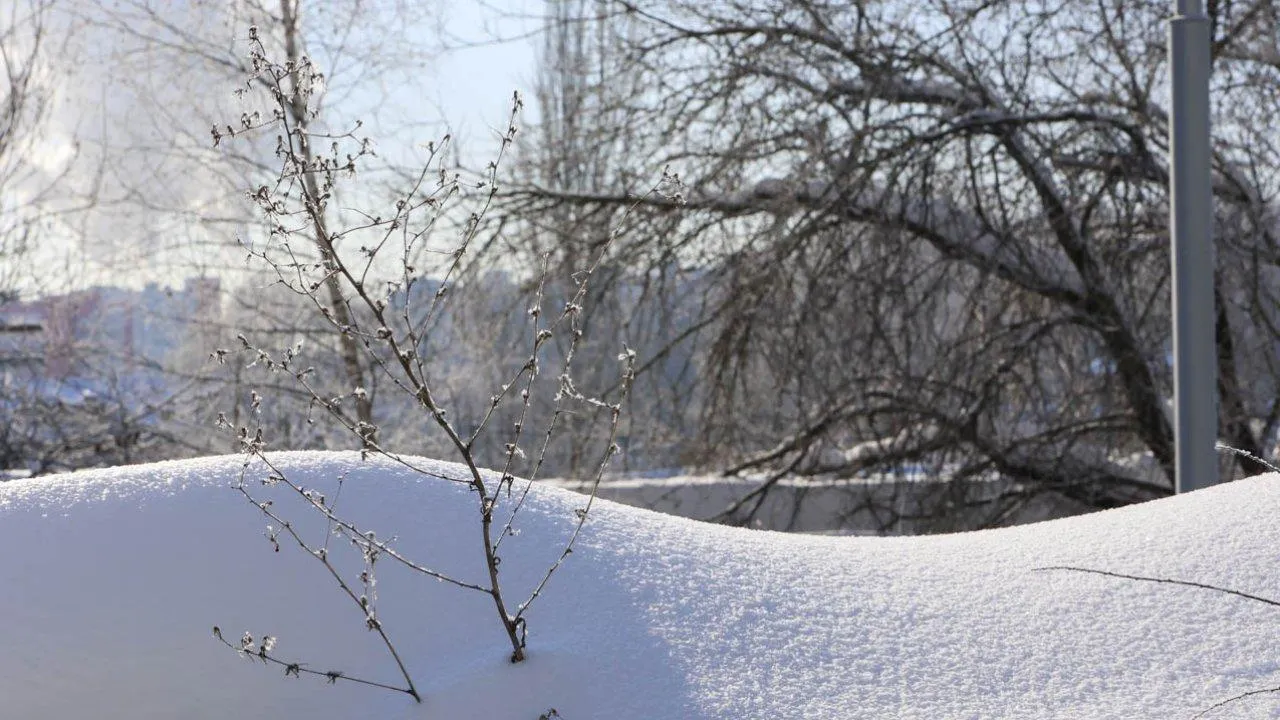 REGIONS/Роман Малышенко