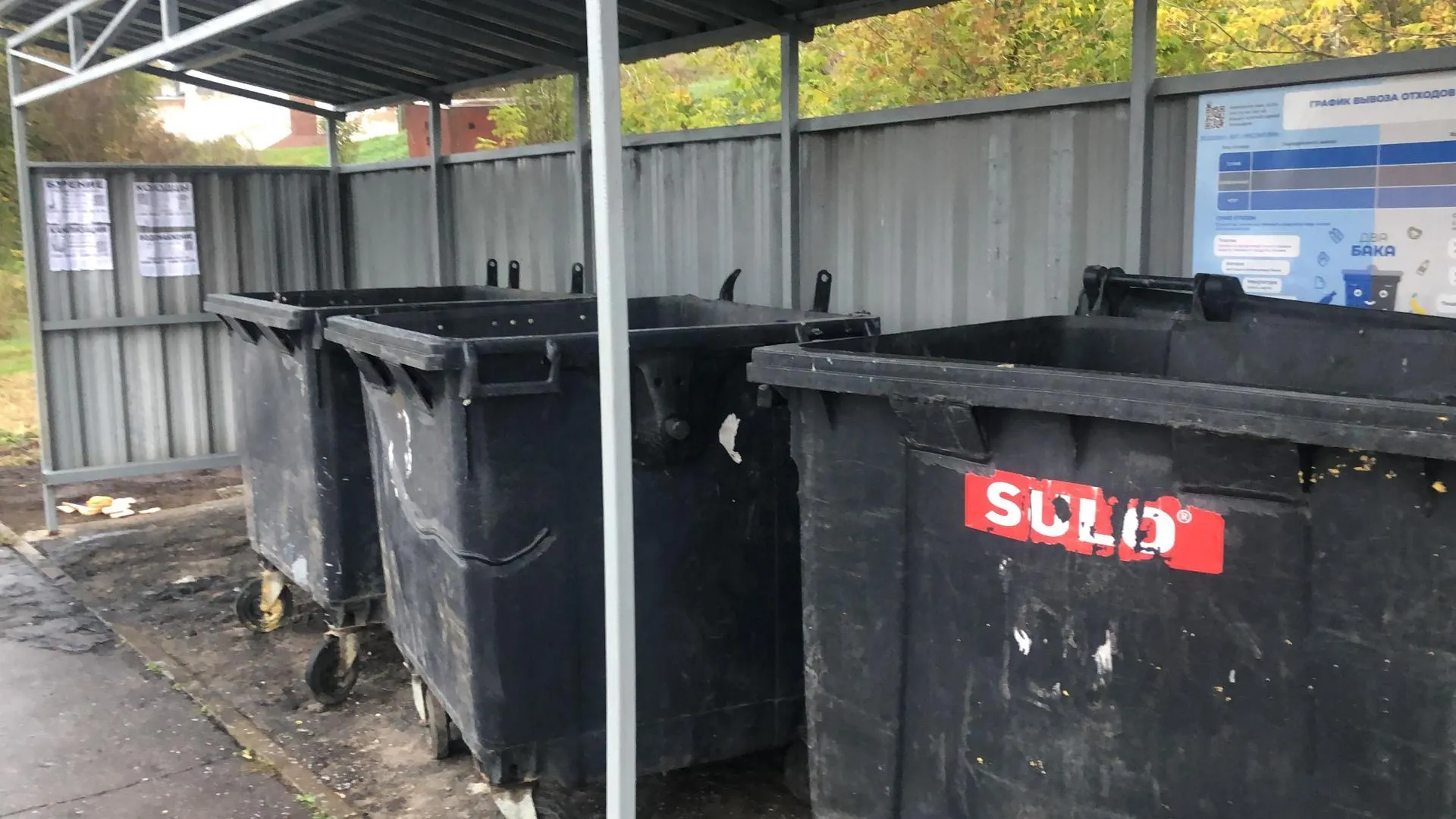 Владислава Соловьева