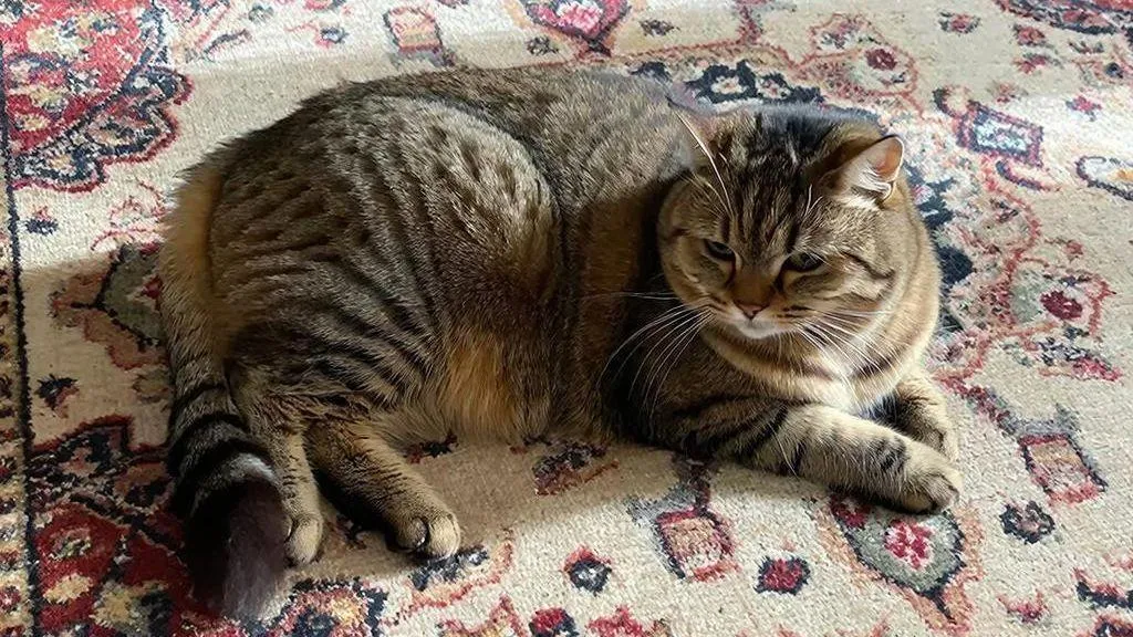 REGIONS/Сгенерировано нейросетью