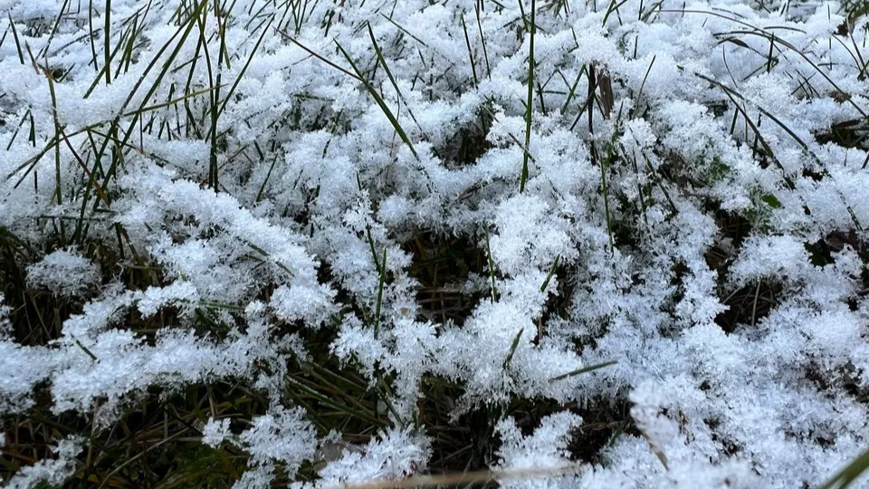 Фото: REGIONS/Елена Фурман