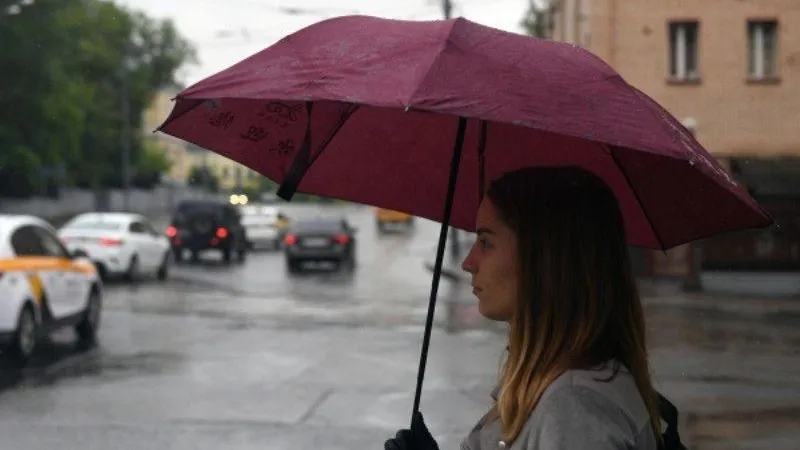 Во вторник в Подмосковье прогнозируют легкий дождь и до +18 градусов тепла