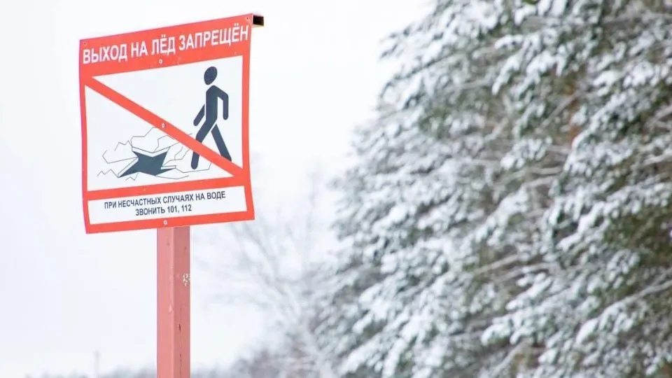 Фото: пресс-служба администрации г.о. Лыткарино