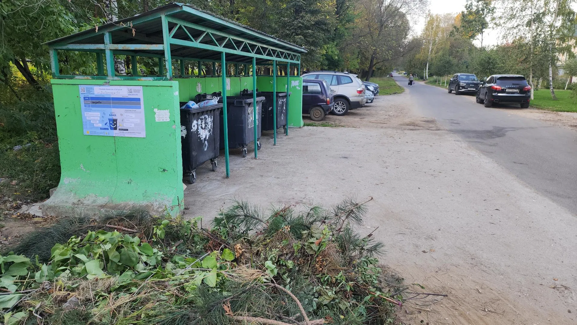 Добрынина Галина