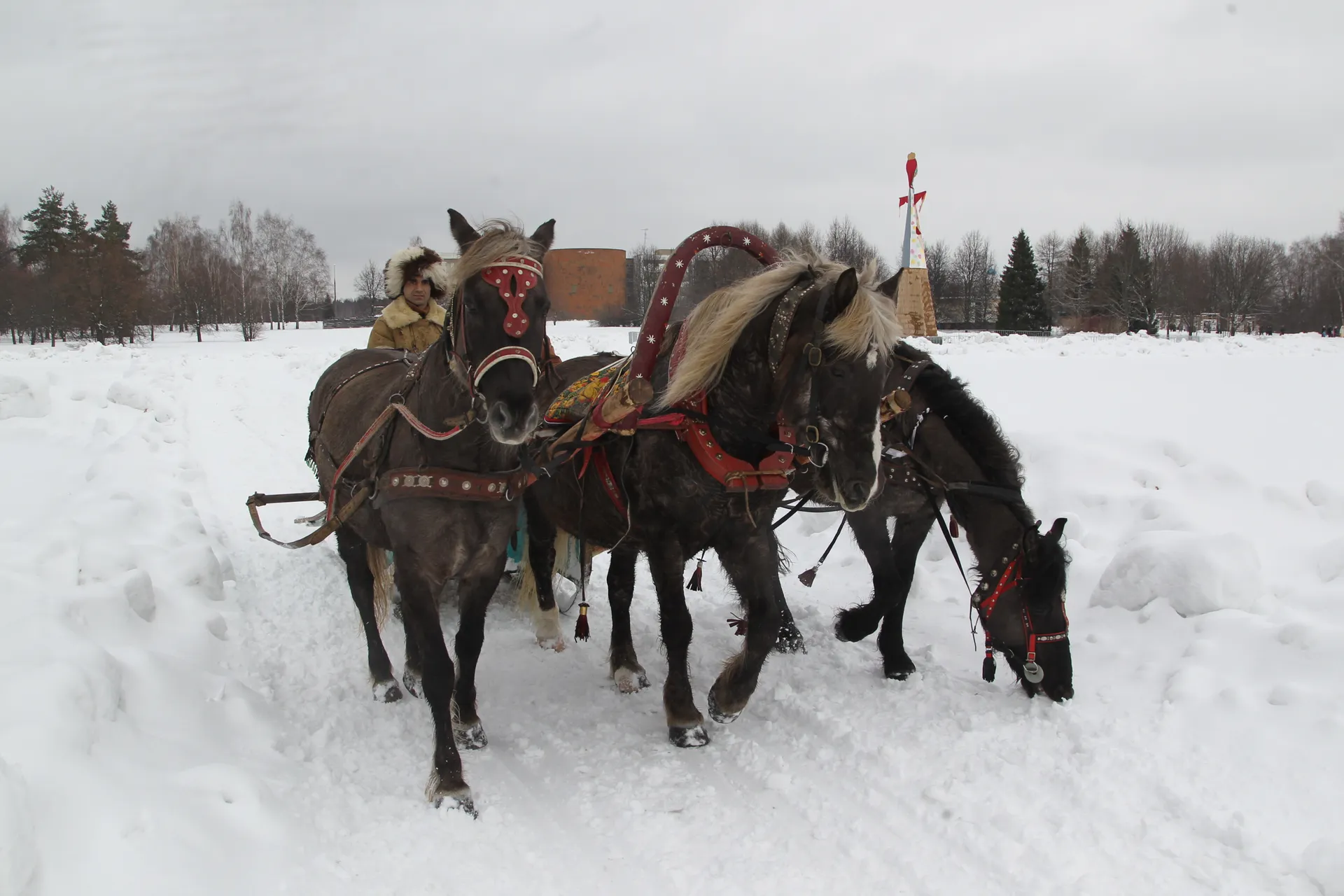 фото пресс-службы музея-заповедника «Горки Ленинские»