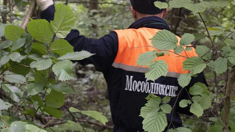 Подмосковные спасатели напомнили грибникам о важности соблюдения правил безопасности в лесу